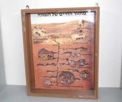 16170
