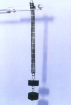 1245.jpg