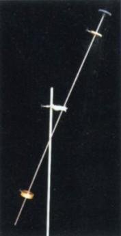 1246.jpg
