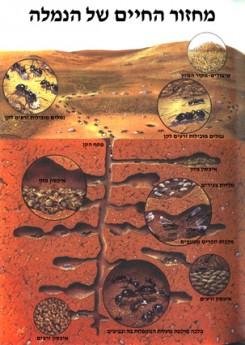 1617(5)(1).jpg
