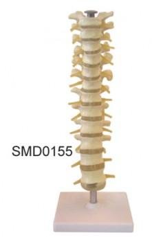 4503.jpg