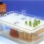5407(14).jpg