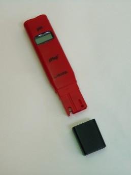 5453_b.jpg